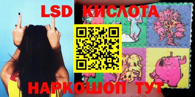 прущие грибы Кимры