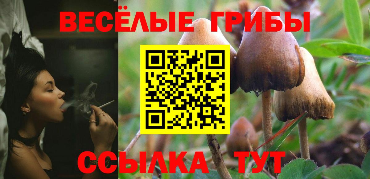 Галлюциногенные грибы MAGIC MUSHROOMS  Псилоцибиновые грибы GOLDEN TEACHER  Вход с VPN  Красноуфимск 