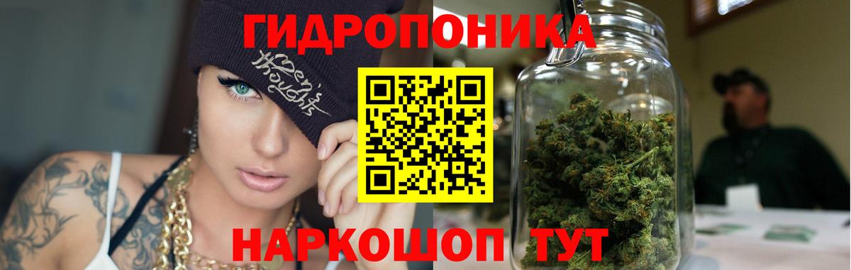 Каннабис сатива Красноуфимск